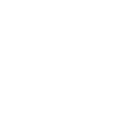 Canal 33