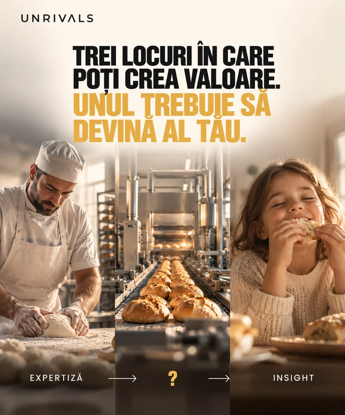 Planșă cu trei panouri: în stânga un brutar frământând, sub el cuvântul expertiză; la mijloc o linie industrială de producție, sub ea un semn de întrebare; în dreapta o fetiță mușcând dintr-o felie de pâine, sub ea cuvântul insight. Titlul spune că sunt trei locuri în care poți crea valoare și unul trebuie să devină al tău.